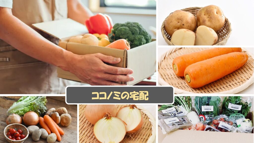 食材宅配公式サイト一覧(申込用)から、ココノミの食材宅配サービス