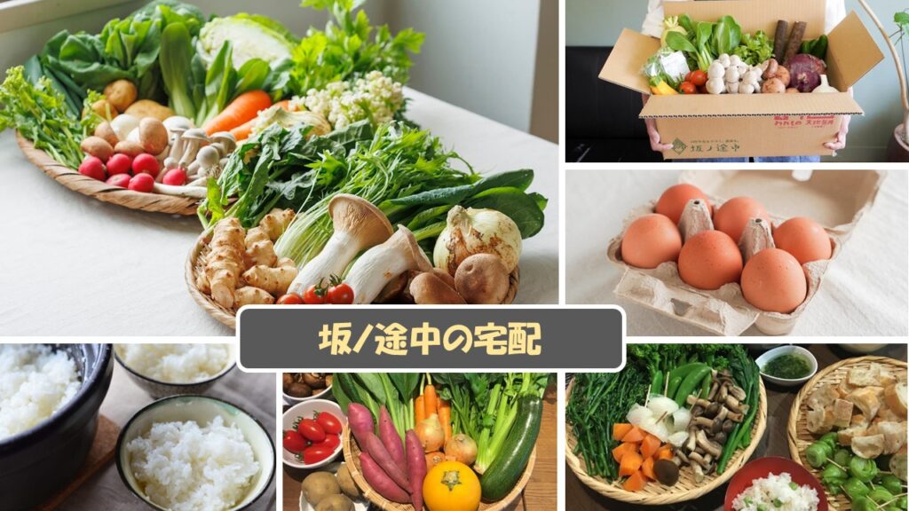 食材宅配公式サイト一覧(申込用)から、坂ノ途中の食材宅配サービス